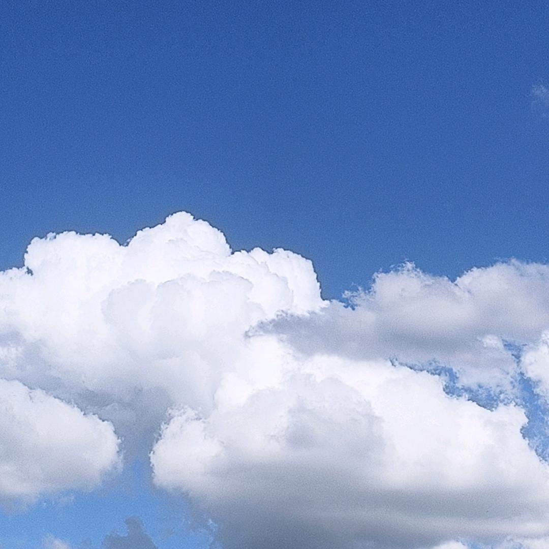 墨竹