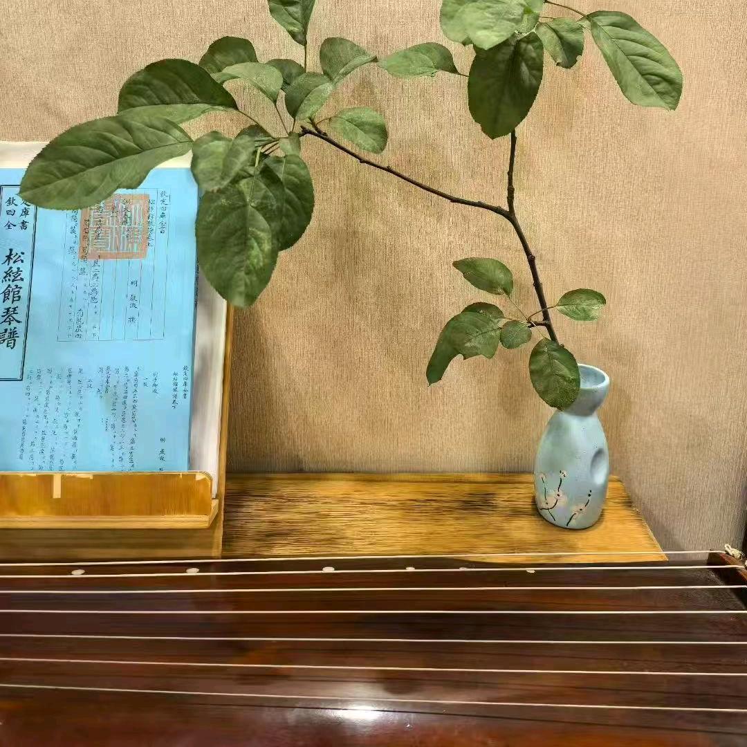 青风徐来