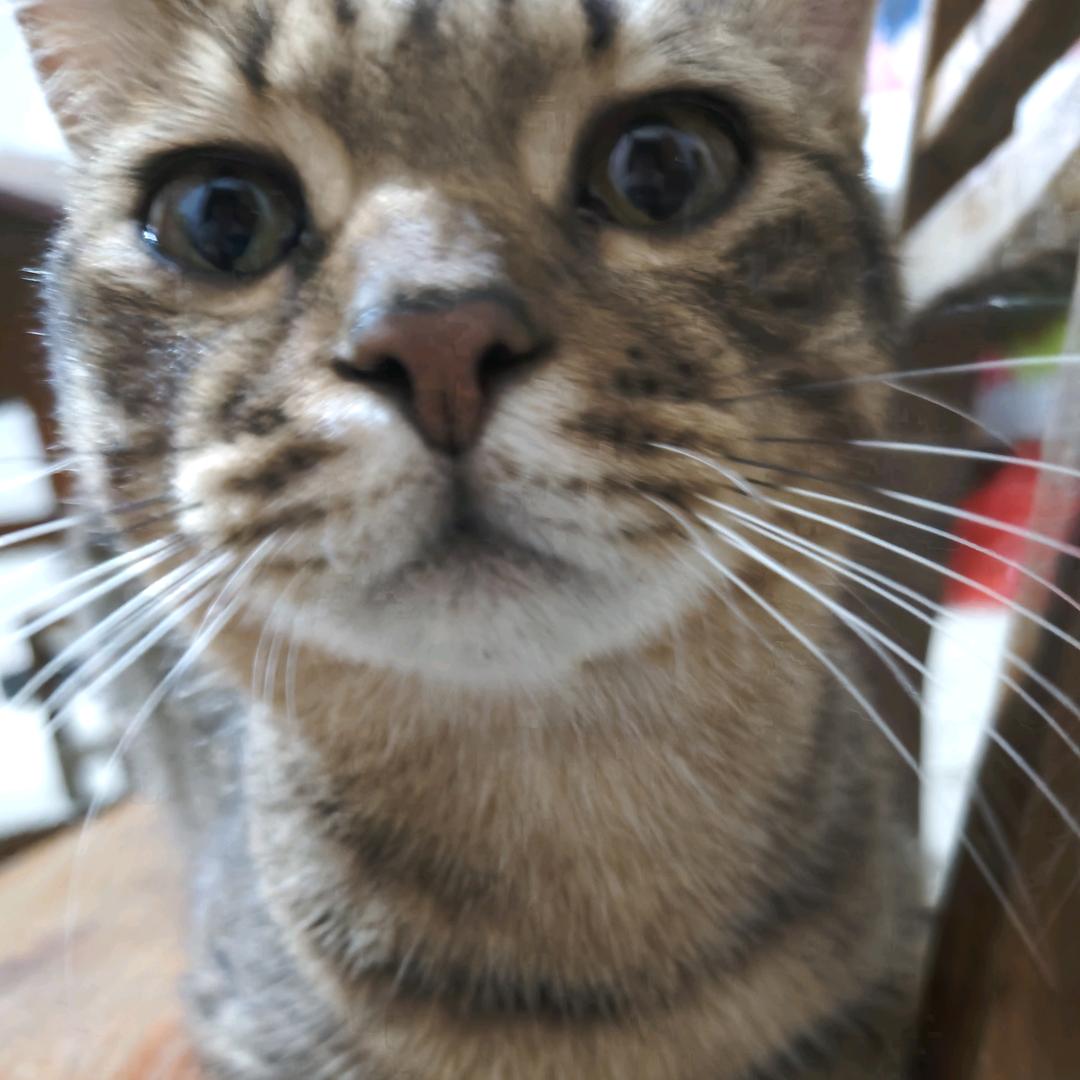 云