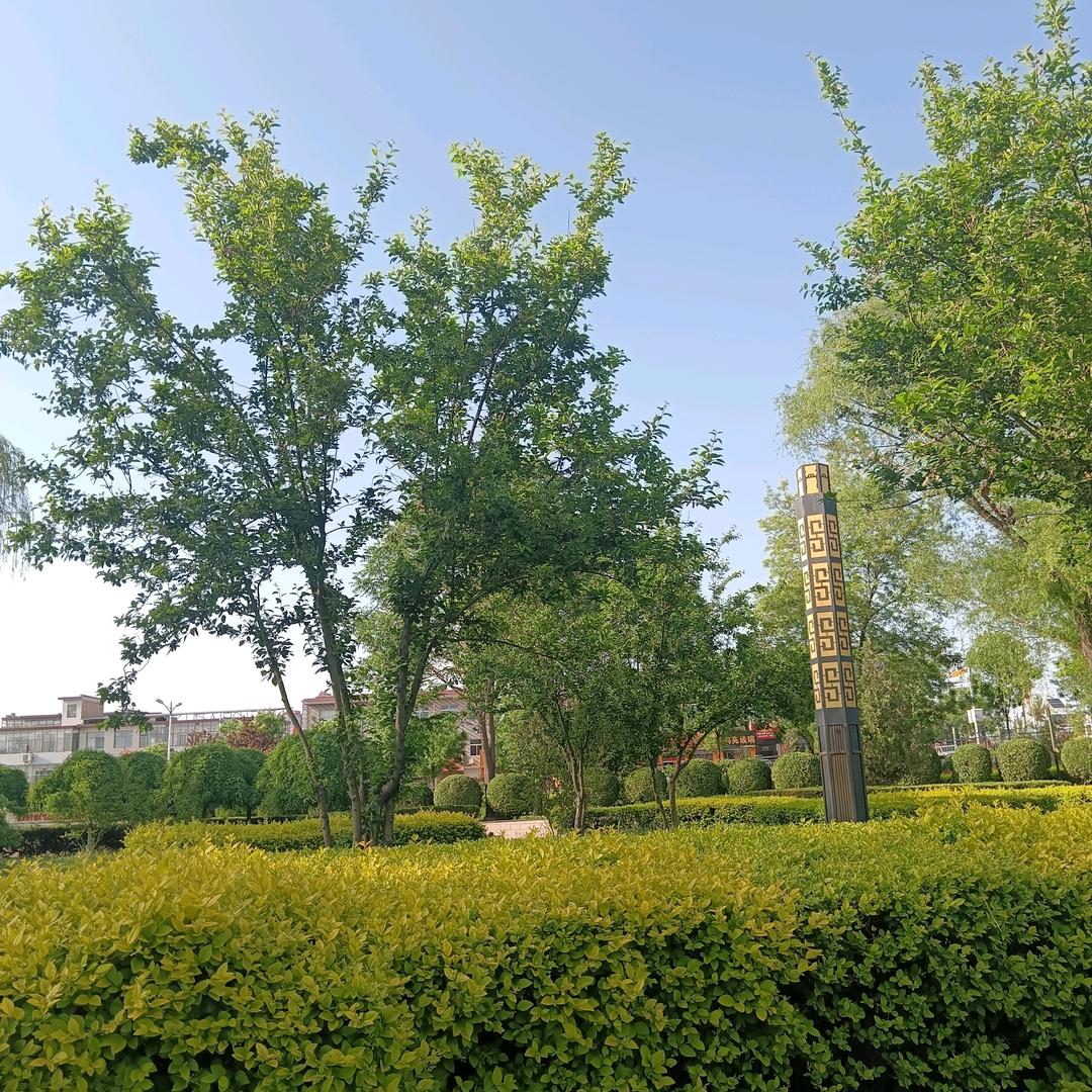 爱吃榴莲的小姐姐