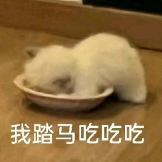 小陈一天八顿饭