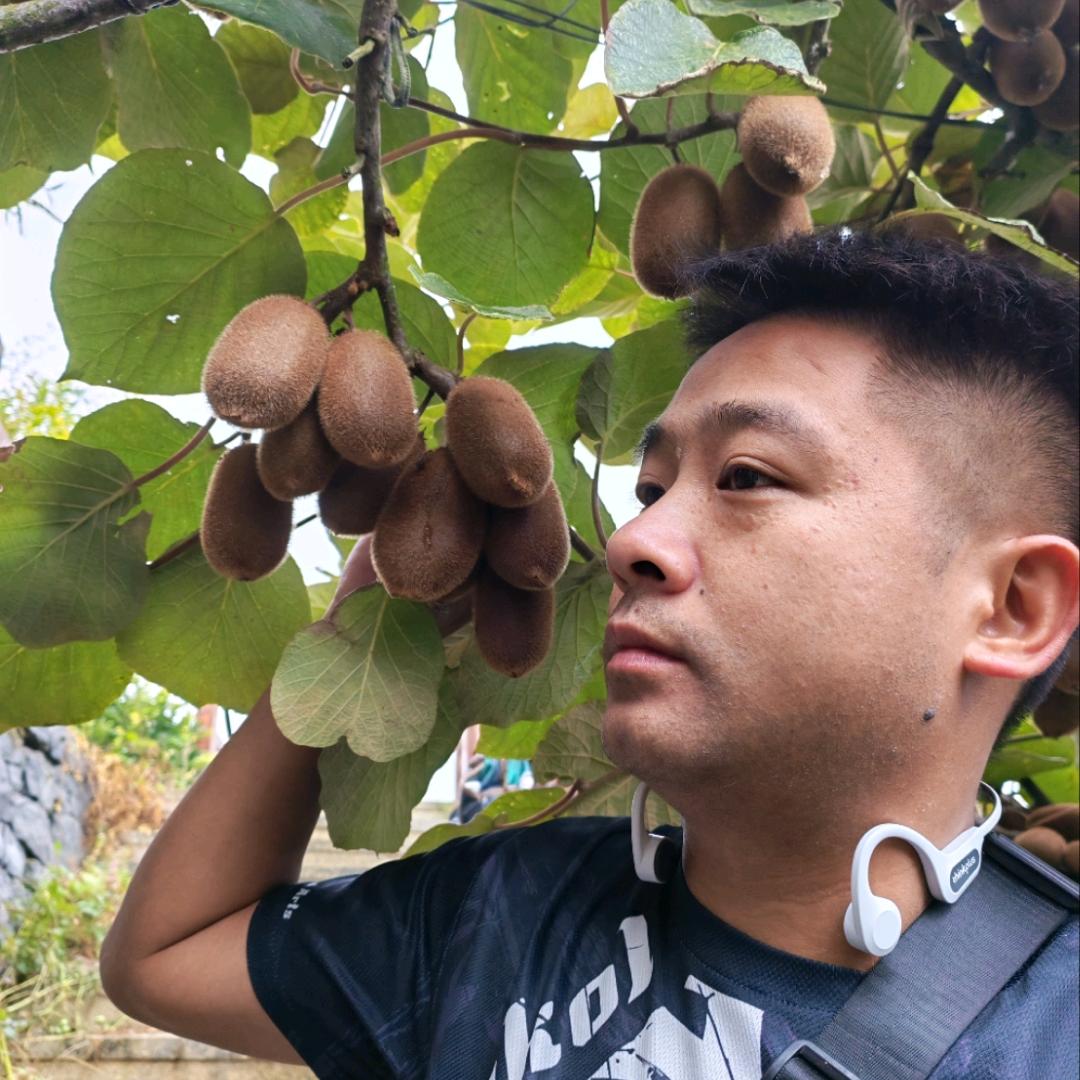 黔山贵水大魏