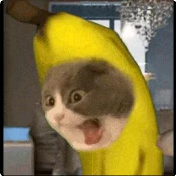 不负遇见