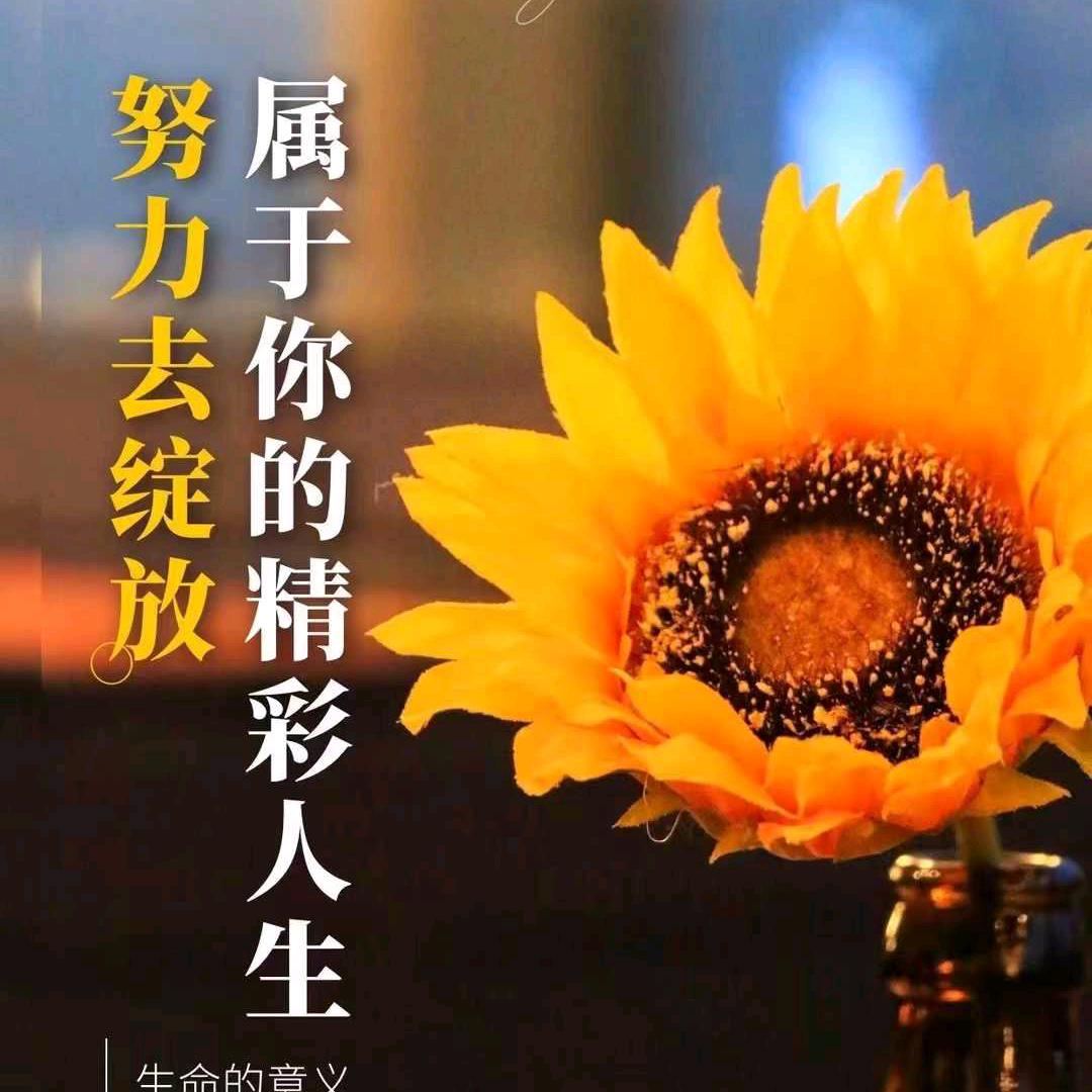 最远的你是我最近的爱