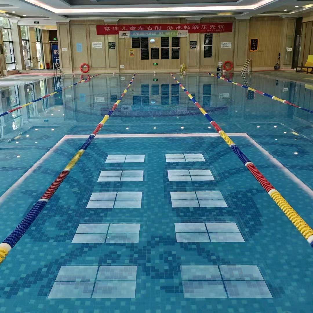 鸭嘴兽游泳健身—南北