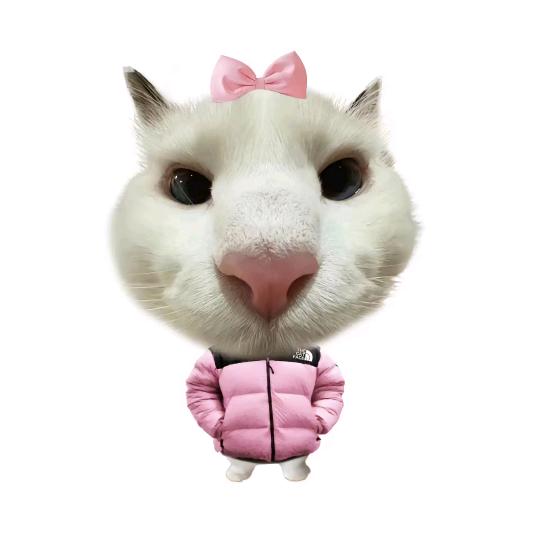 瑆.钰