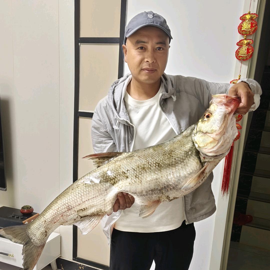 虎哥爱钓鱼