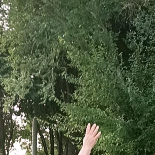 达太
