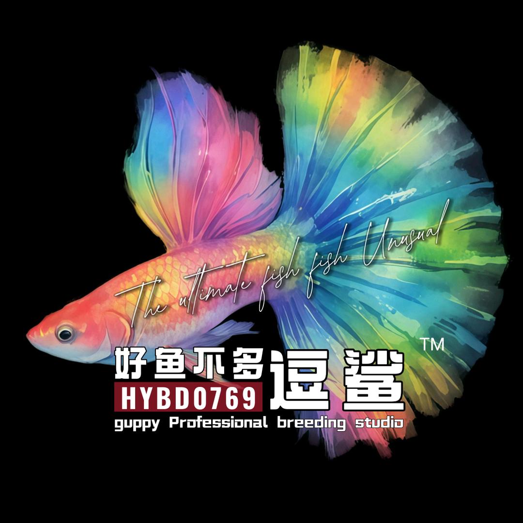 好鱼不多-逗鲨guppy