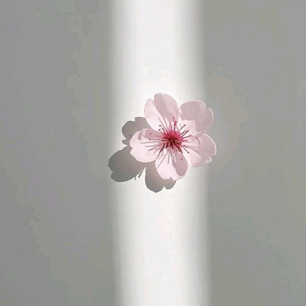 缘分。