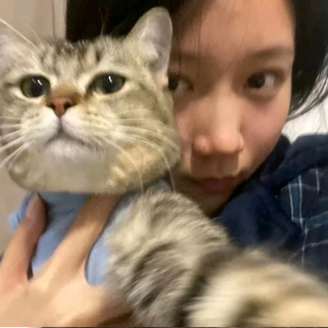 摆烂闲鱼🐟