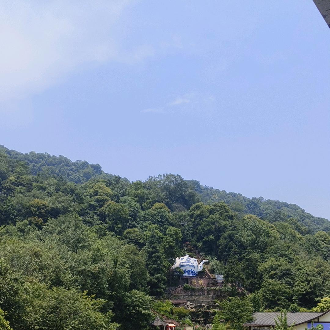 五根