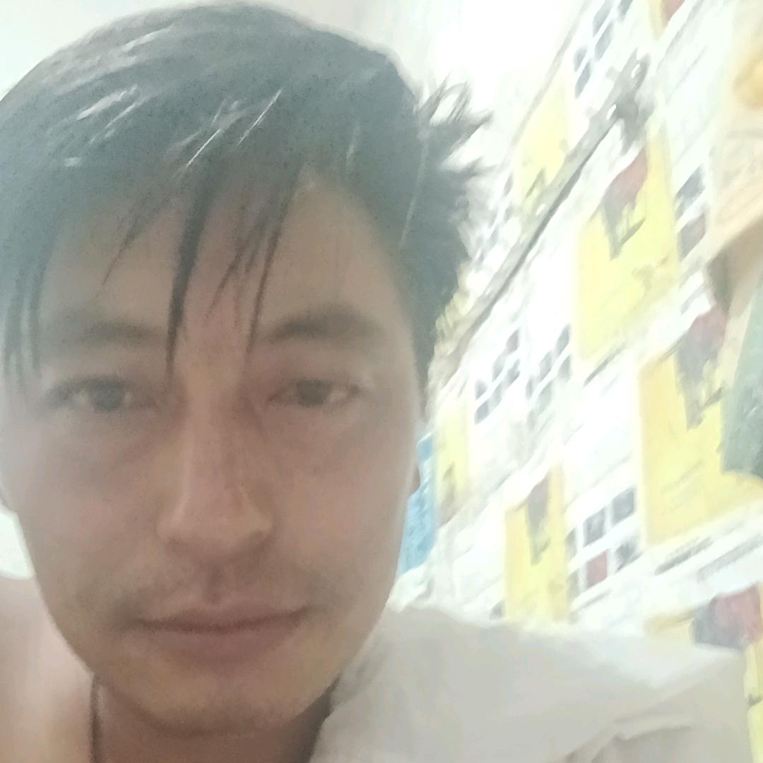 逆流的鱼