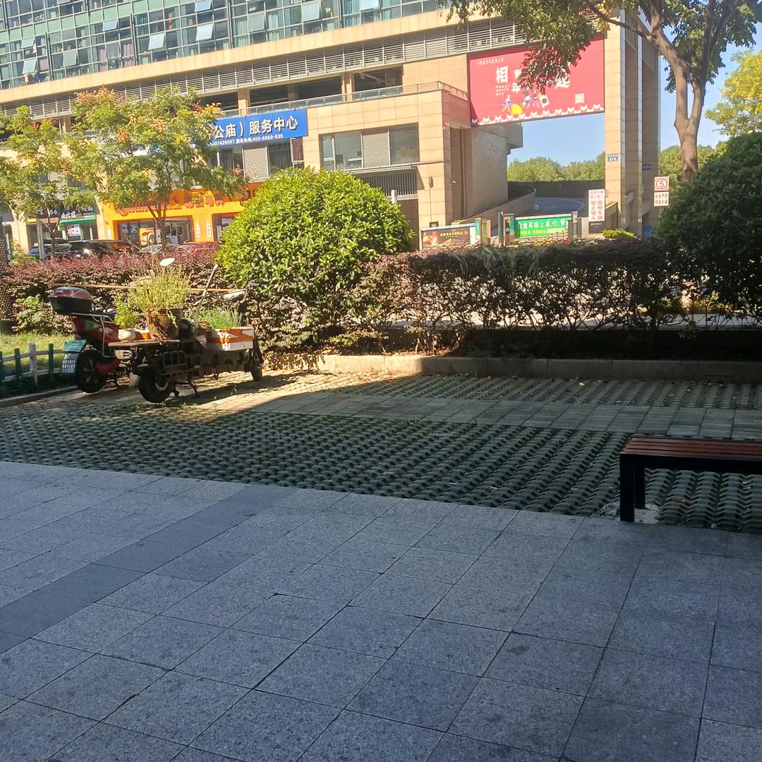 老倪