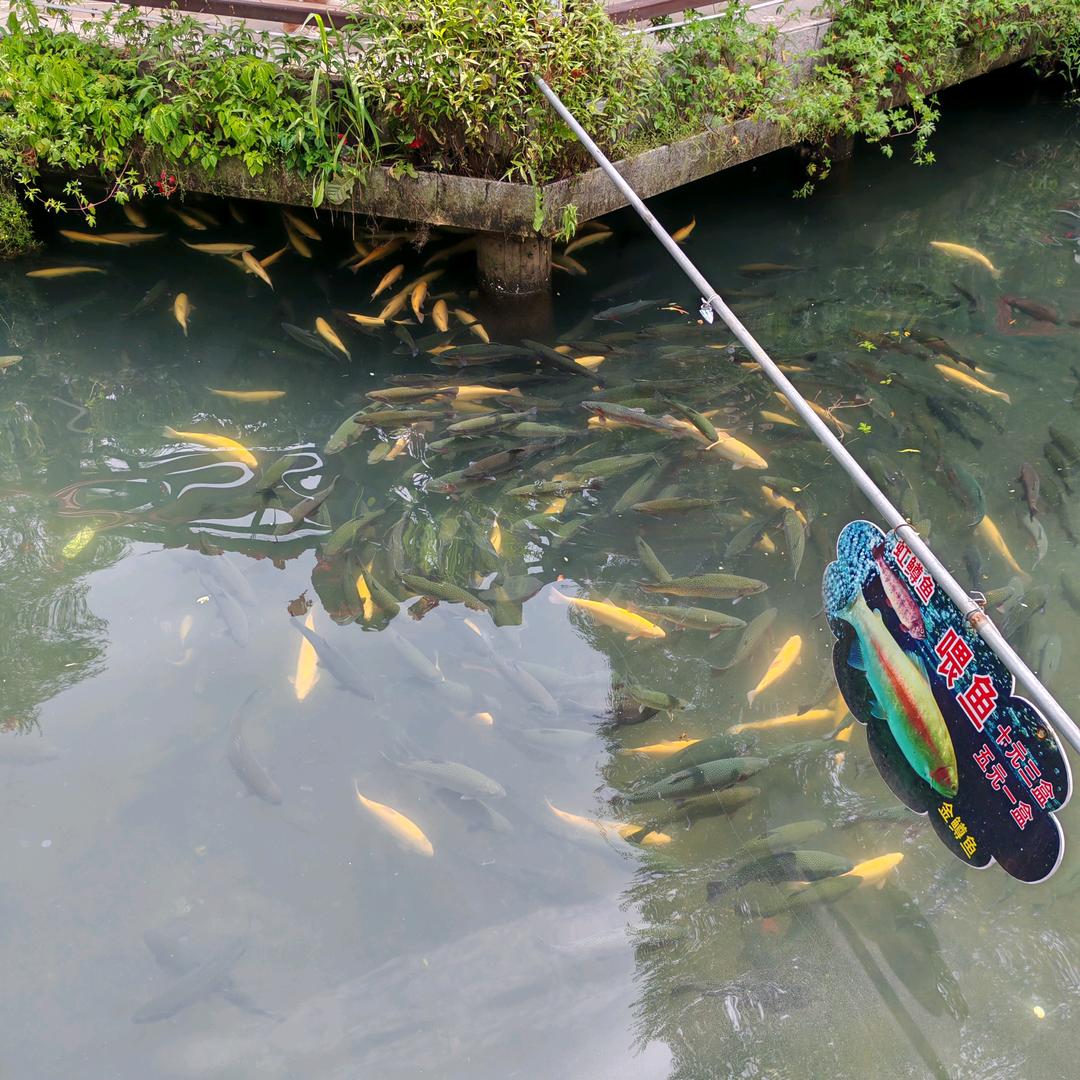 旭明海日