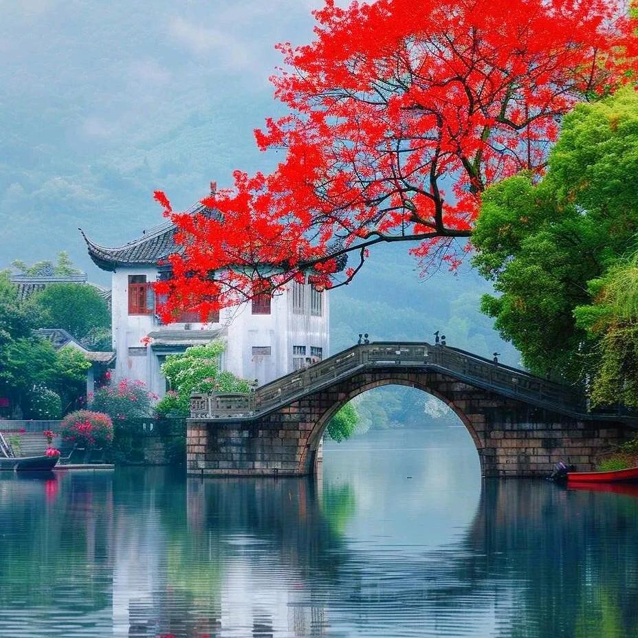 成志