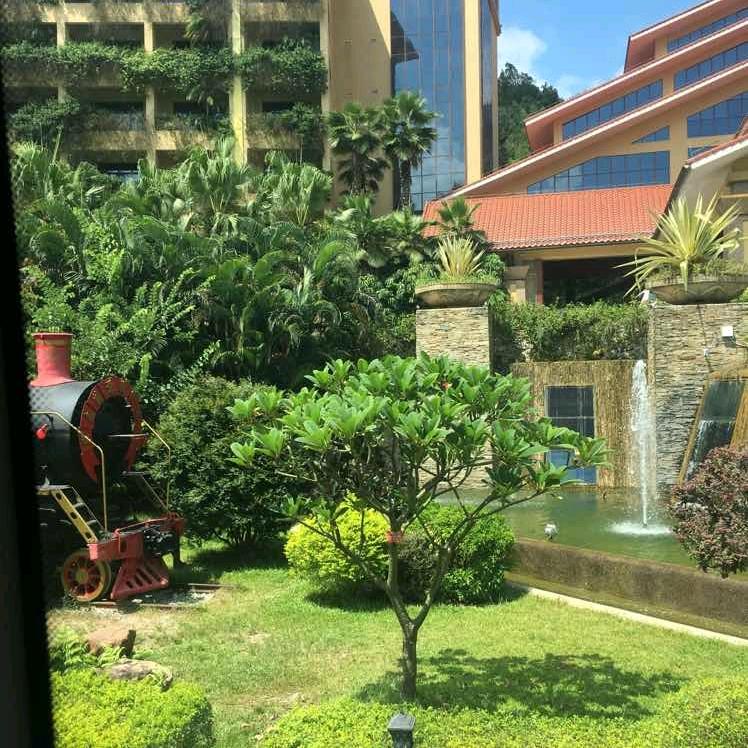 河南熊哥～1217$大禹机械公司，有了解