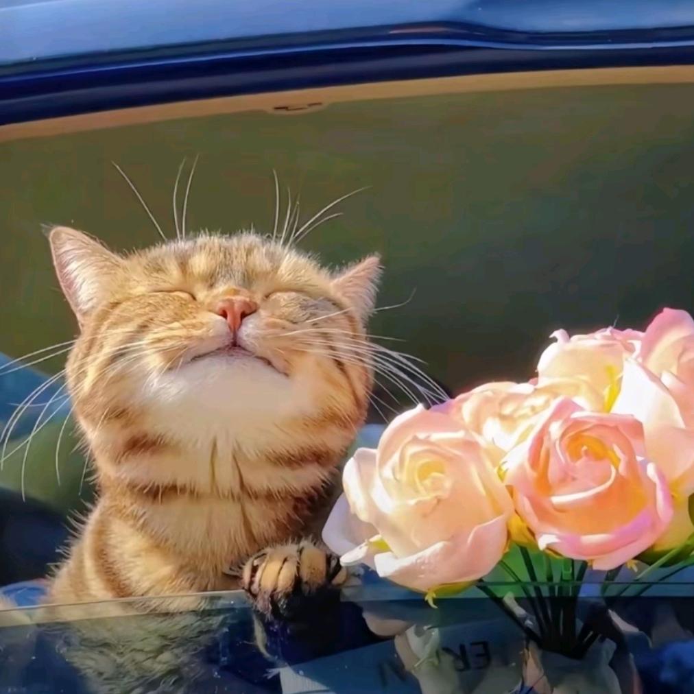 🌈心中有党，成绩理想🌈