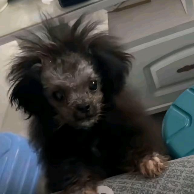 Andy