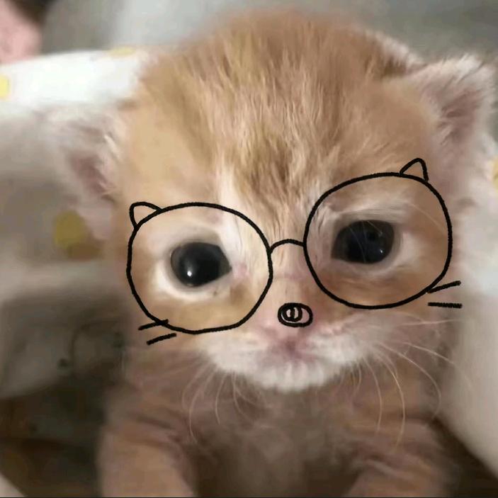 我有恋猫癖(^･ｪ･^)