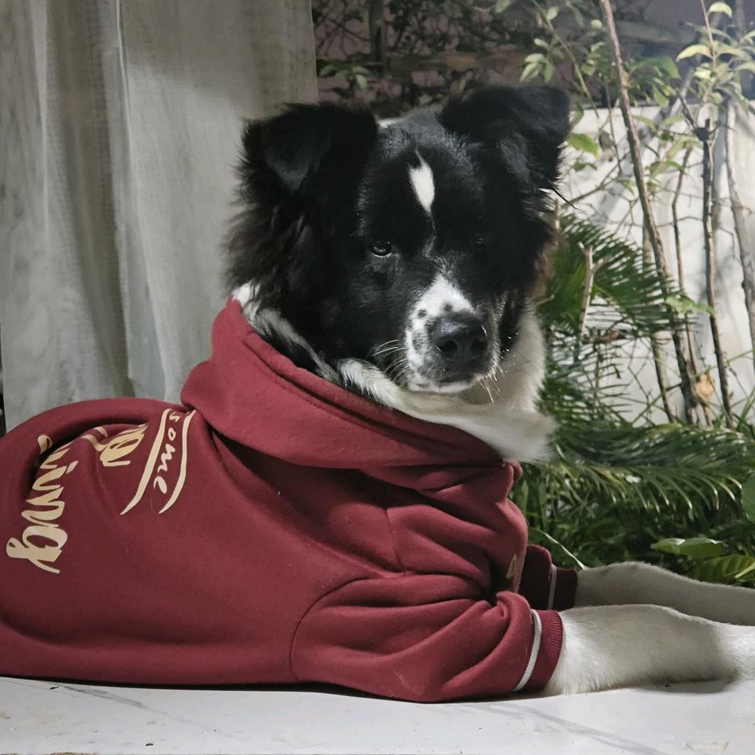 我们都为比尔着盛装