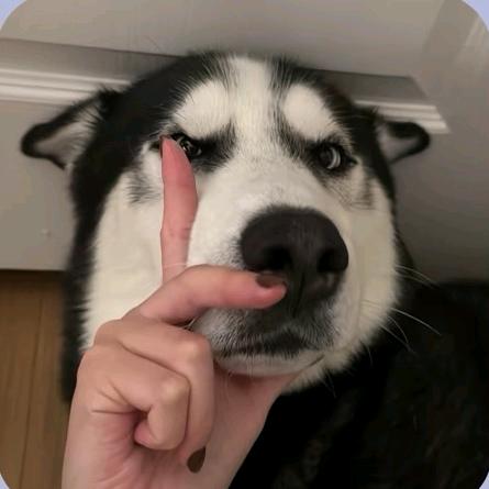 ♡小新颜子🦌⁰⁰⁷