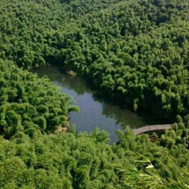 百里翠湖