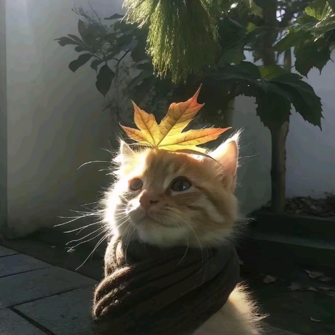 衍湳