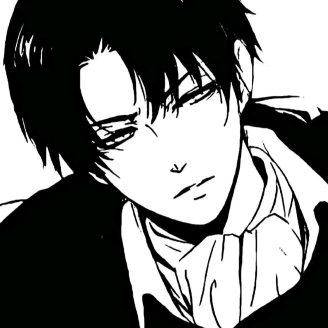 Levi（三角洲行动）