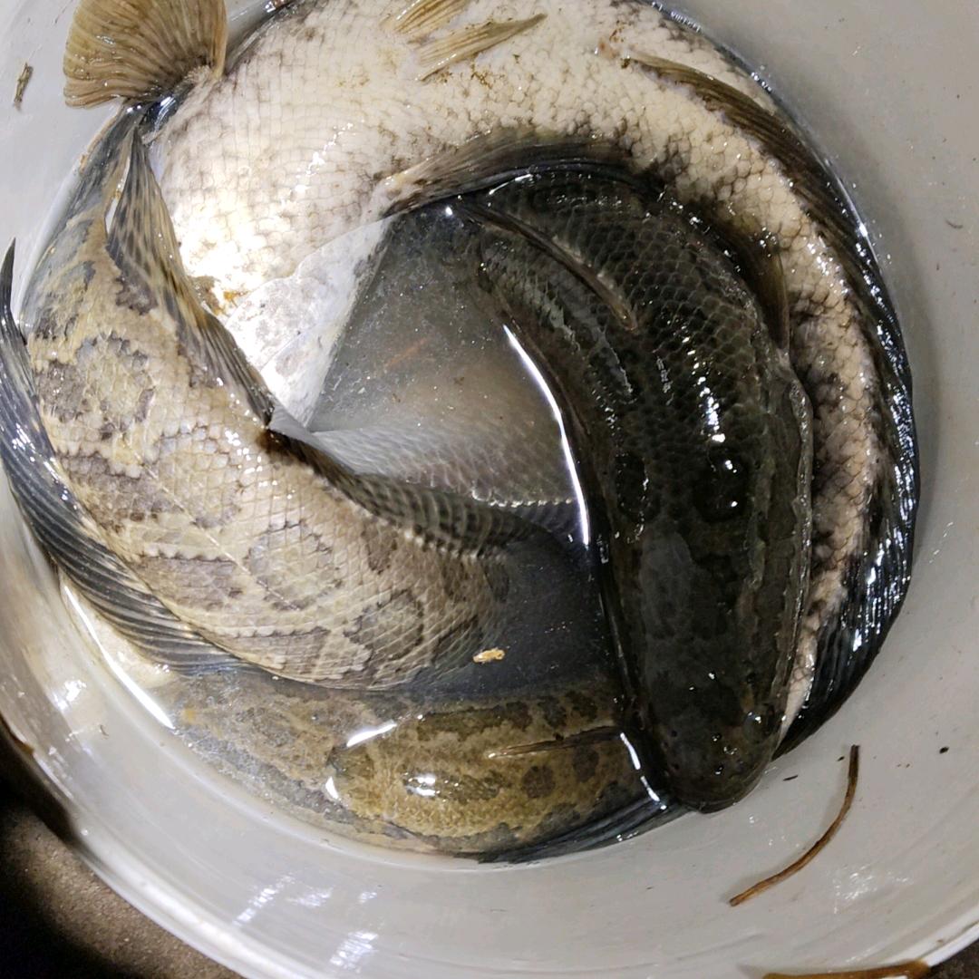 你終於變成我醉酒後不再去打擾你的人