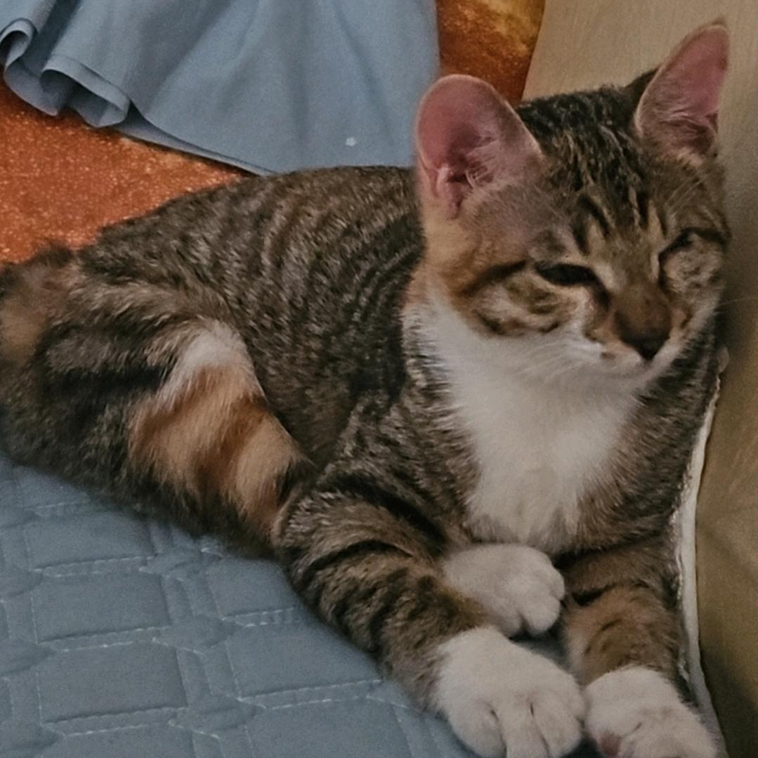 扑哧