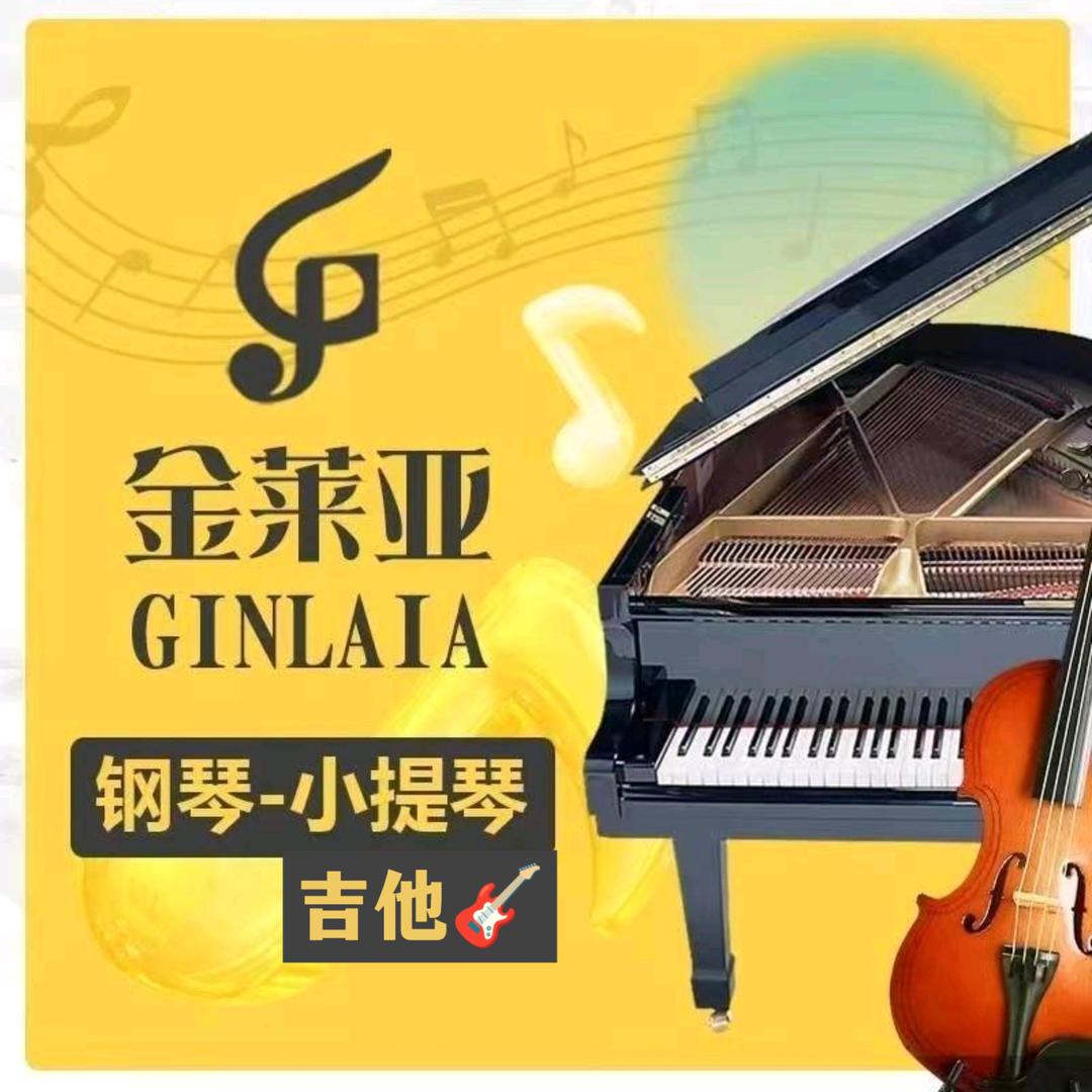 郑州钢琴小提琴