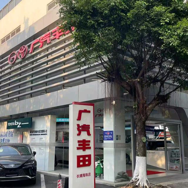 广汽丰田沉稳王小戴