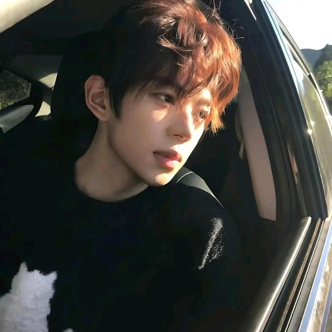 海星(王者荣耀)