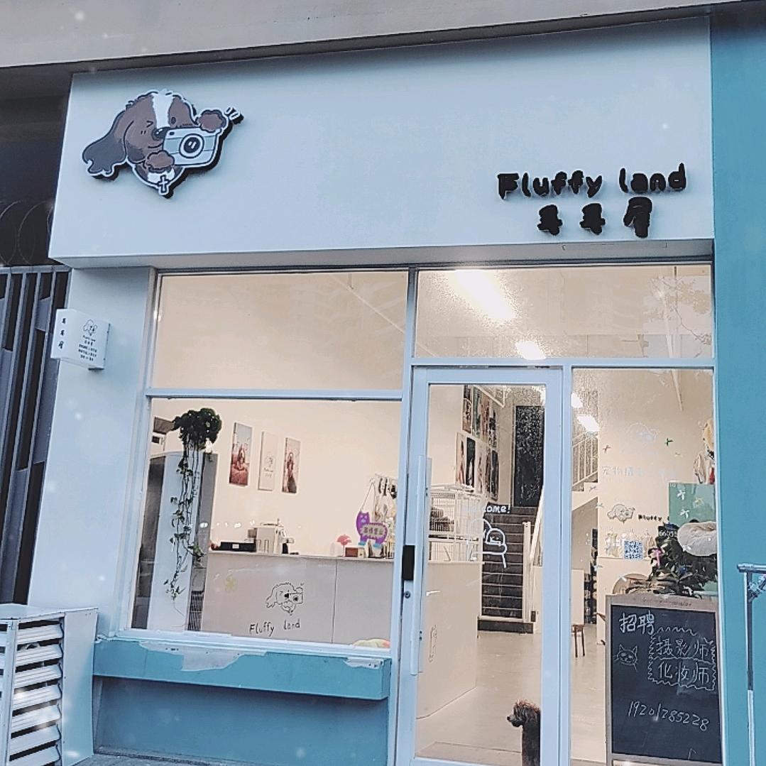 毛毛屋阿比幼崽