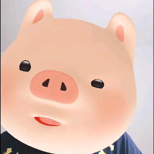 旺仔小🐷
