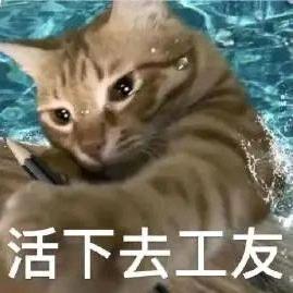 脉搏上的光