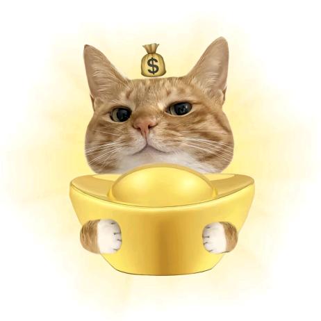 来财也曾渴望玉牌