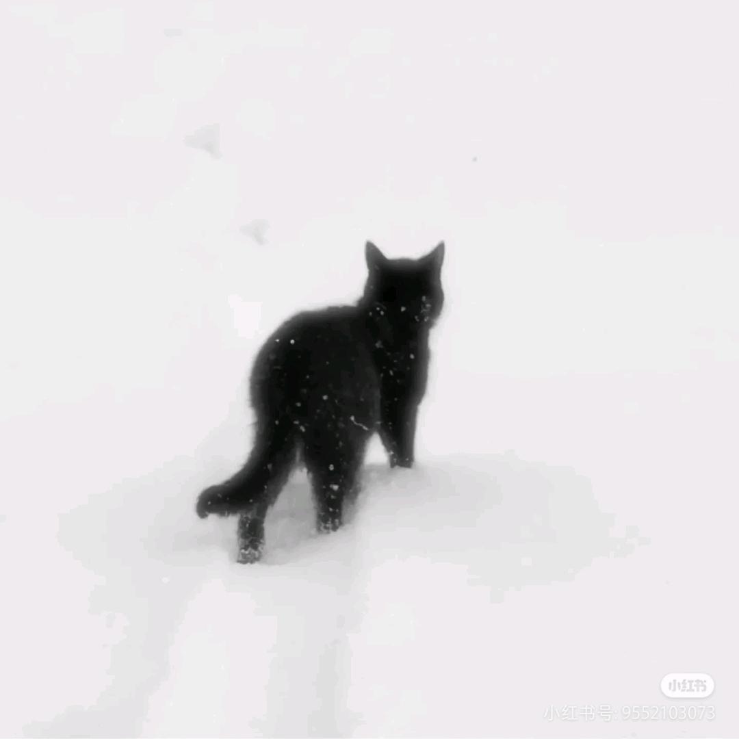 九思
