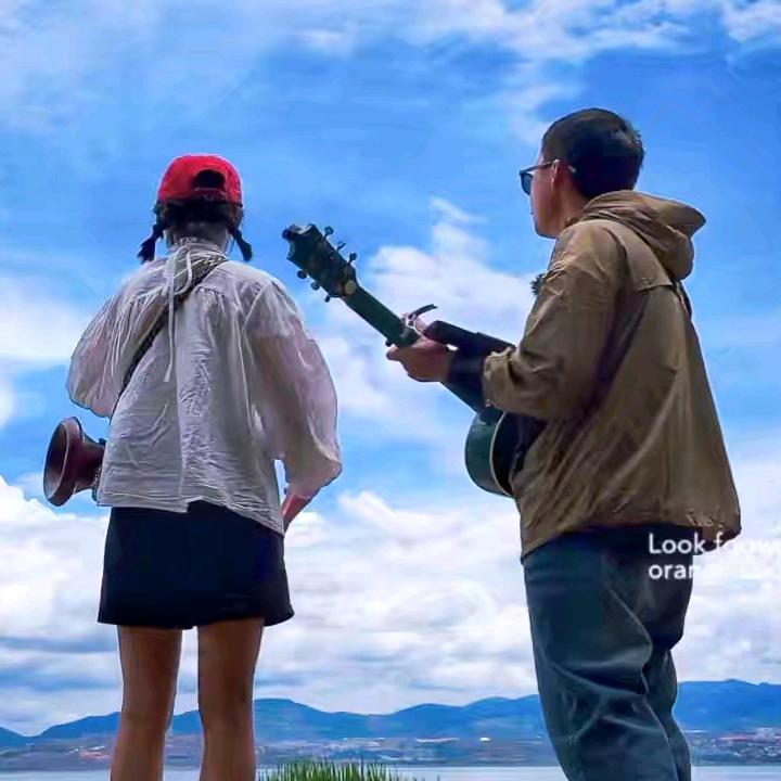 送你一朵山茶花