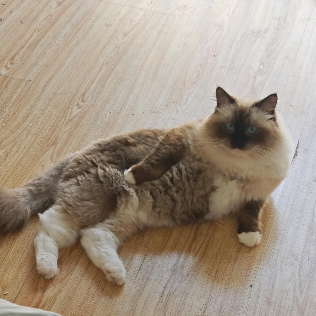 让咸鱼不在咸鱼