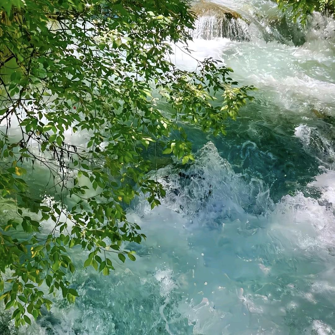 露露