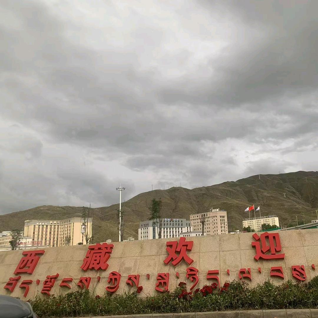 小兔兔
