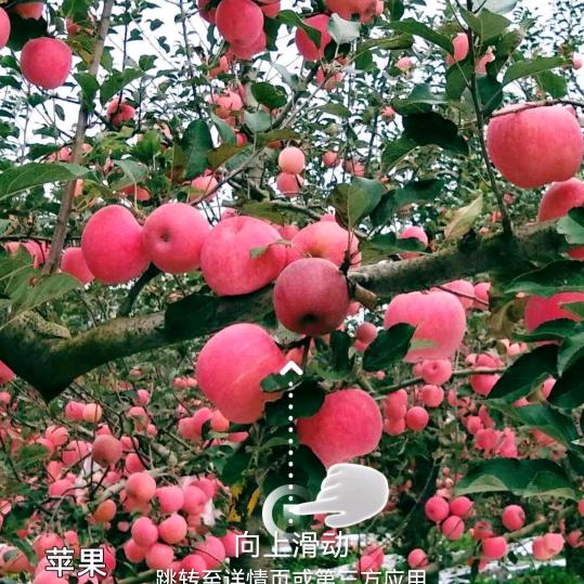 诗在远方
