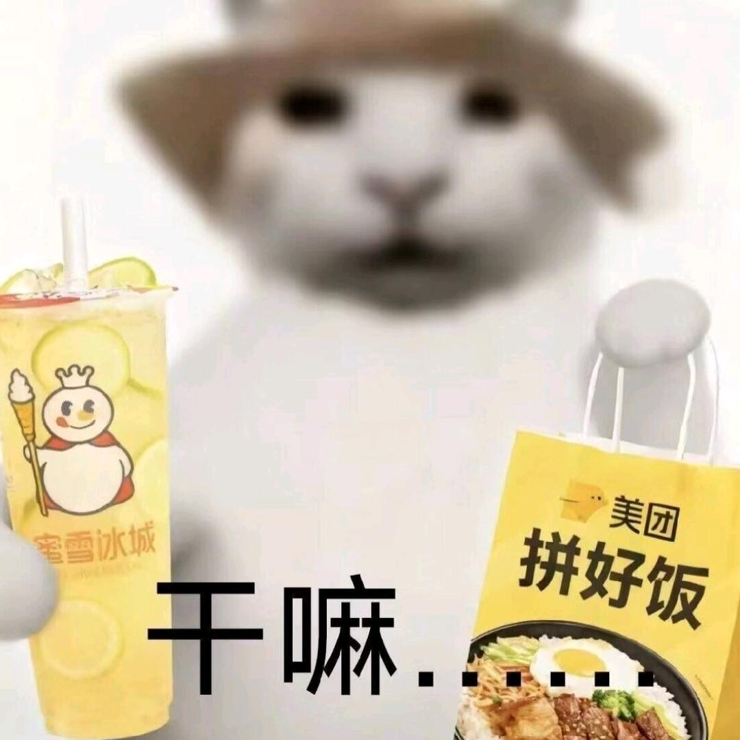 AAA大运重卡林师傅（国道全险）