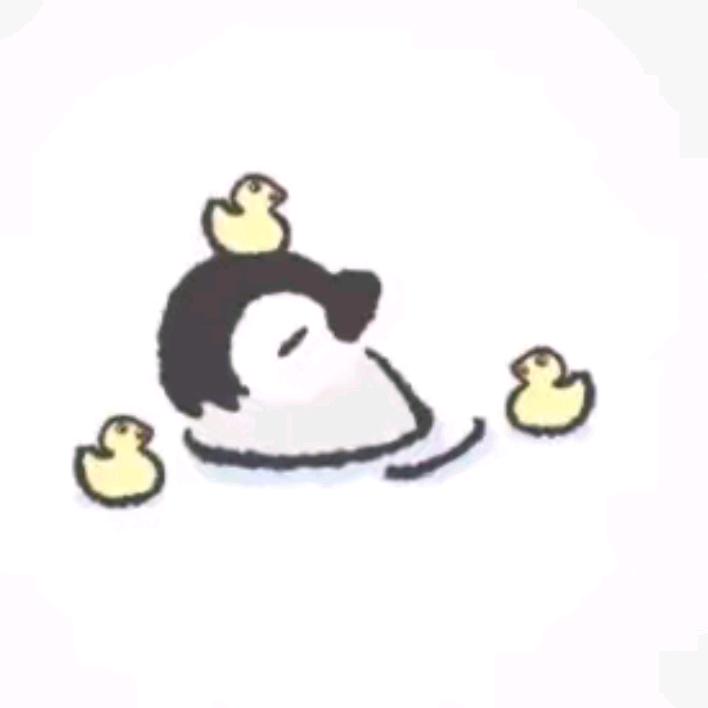 企鹅🐧