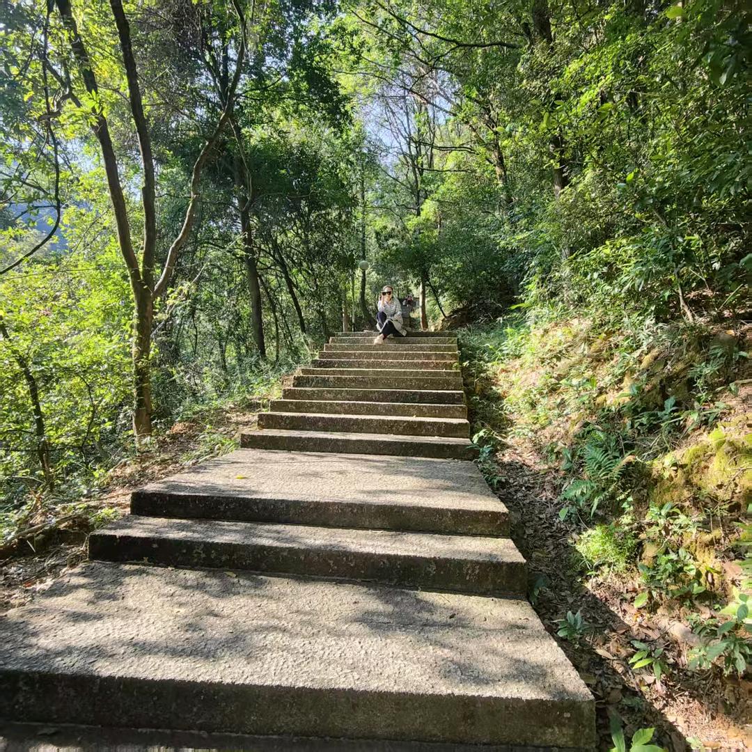 陶子(✿ﾟ▽ﾟ)ノ