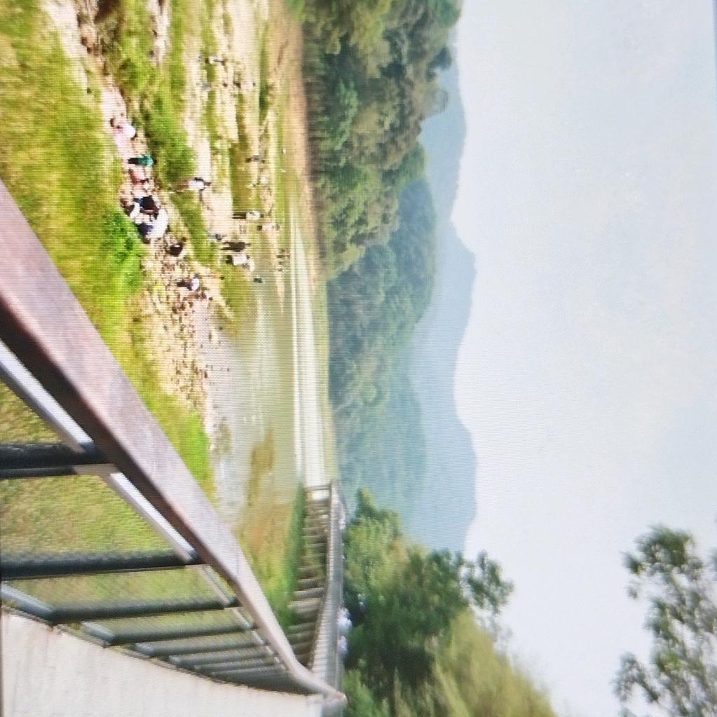 刘能