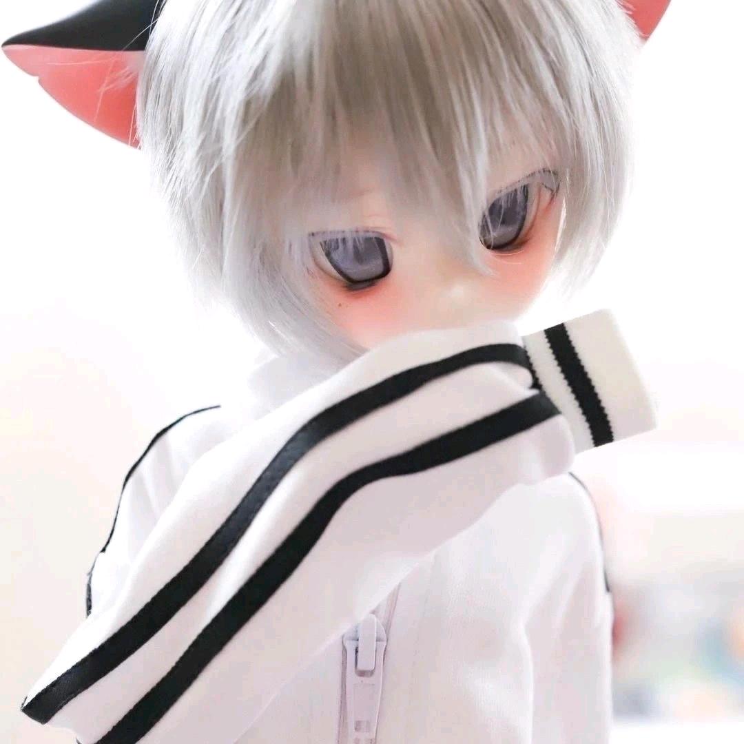 灰渔
