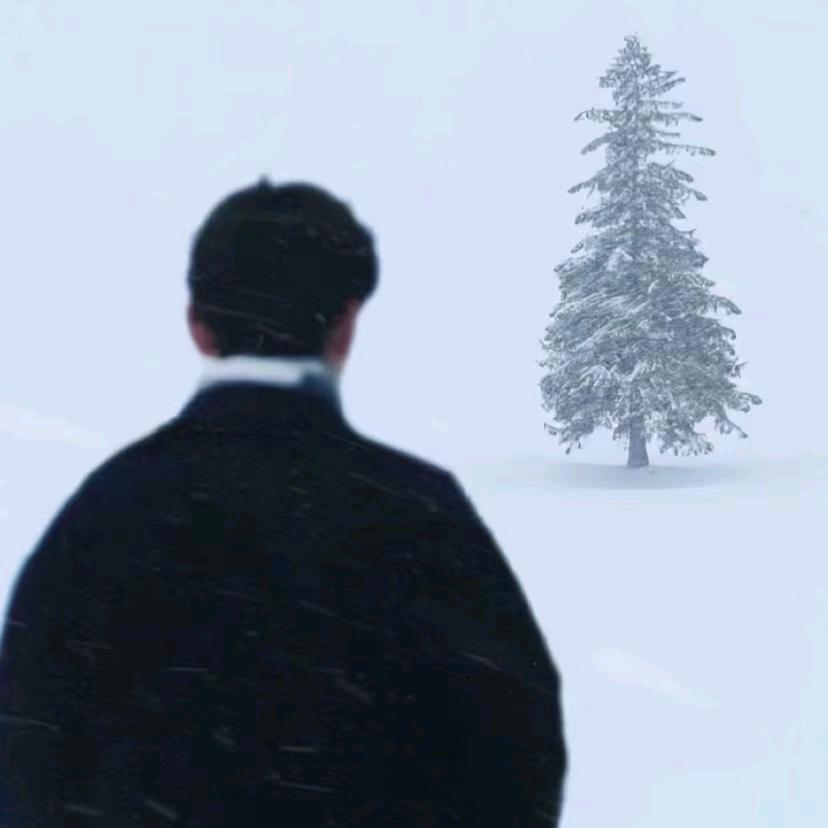 ¹杯冰⁸⁵半糖